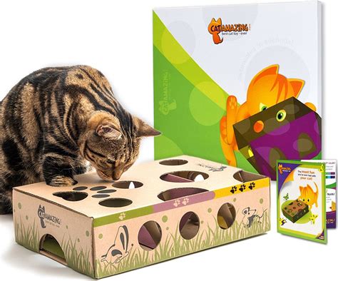 Cat Amazing Best Cat Toy Ever! Interactive Treat Maze & Puzzle Toy ...