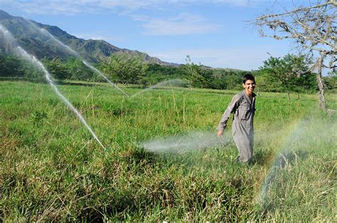 Sprinkler irrigation Photograph by Carlos Mora - Fine Art America