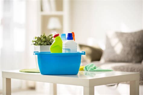 Top 6 Cleaning Products for Mold | HomeCleanse