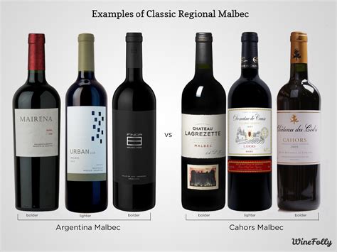 Learn the Difference: Argentinian Malbec vs. French Malbec | Wine Folly