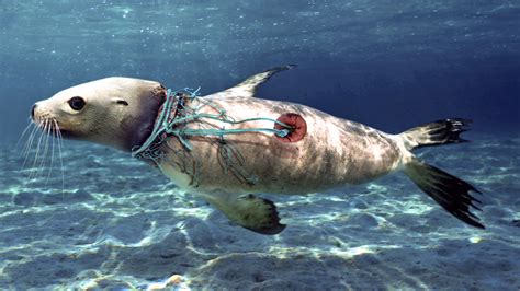 Ocean pollution reimagined in photos by Paulo de Oliveira