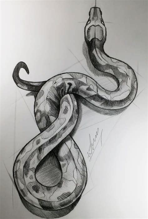 Snake art | Snake drawing, Snake art, Cool art drawings