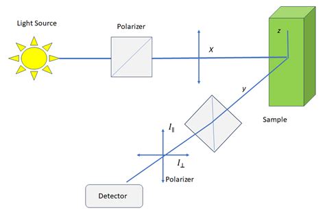 Fluorescence Polarization Assays for Organic Compounds in Food Safety