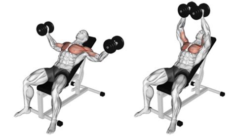 27 Best Upper Body Exercises For Strength And Mass