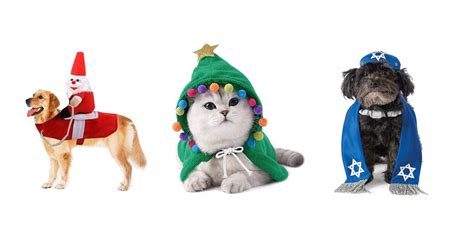 Pet Holiday Outfits You Need to See ASAP: 7 Picks