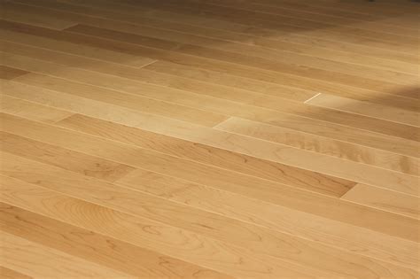 What Is Maple Flooring | Viewfloor.co