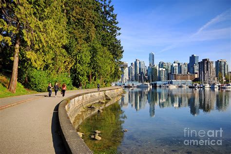 Stanley Park Seawall Path Photograph by Charline Xia