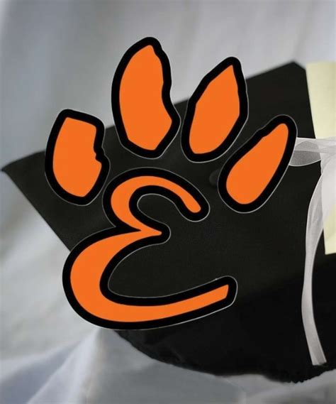 Edwardsville High School Class of 2023 about to walk the walk