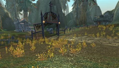 Silberwald - Zone - World of Warcraft: Classic