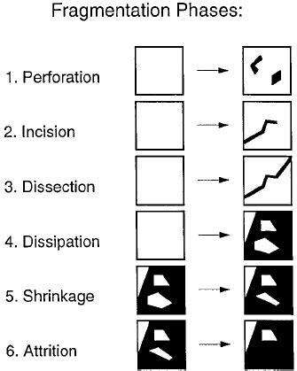 Phases of the fragmentation process, distinguished according to ...