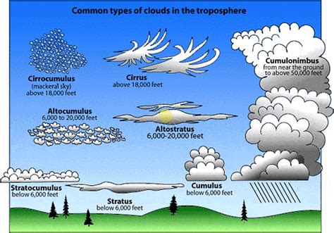 The different types of clouds: what they mean for weather