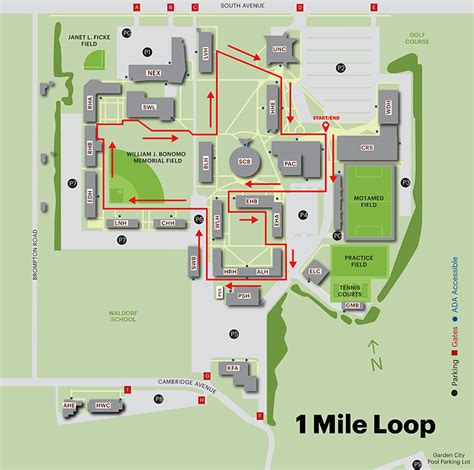 Adelphi University Campus Map – Map Vector