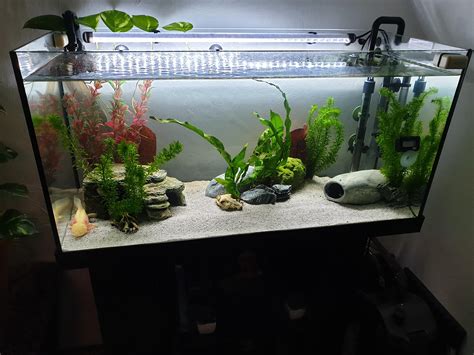 SeaClear 40 Gallon Aquarium | ubicaciondepersonas.cdmx.gob.mx