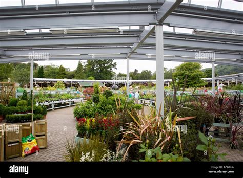 Hayes Garden World garden centre Ambleside Stock Photo - Alamy