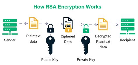 RSA Encryption: Unlocking the Power of Prime Numbers | by CYber VIaz ...