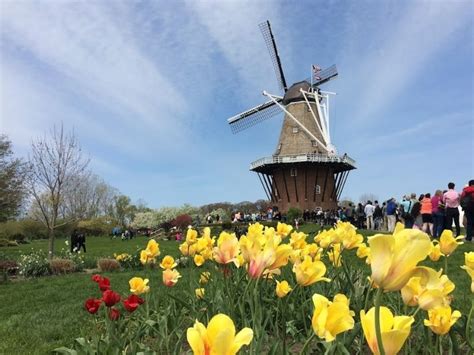 Windmill Island Gardens 2024: Go Inside the Holland Windmill, Learn ...