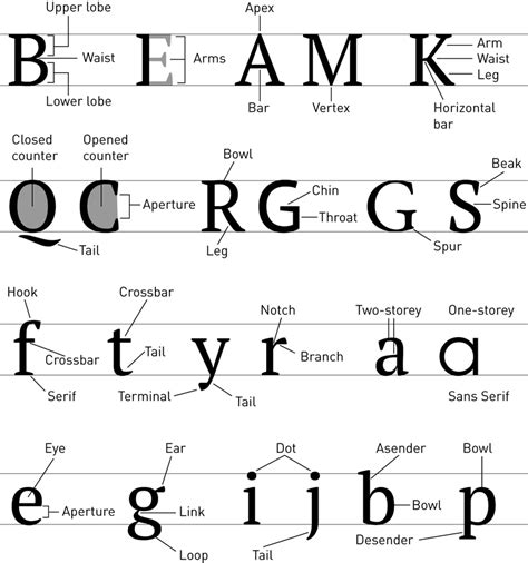 Roman typeface terminology | Download Scientific Diagram