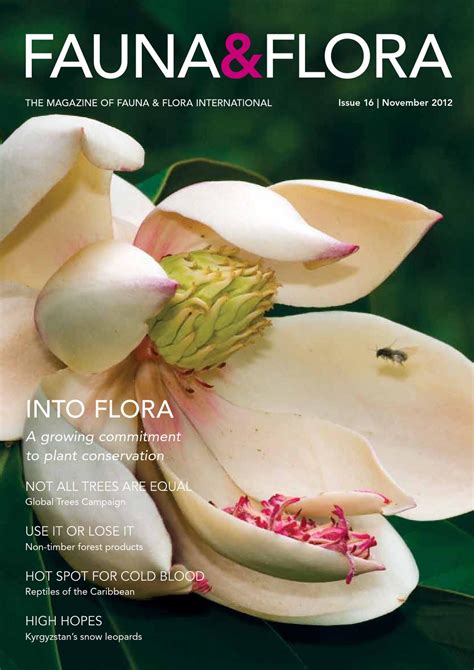 Fauna & Flora Magazine - issue 16 (Nov 2012) by Fauna & Flora - Issuu