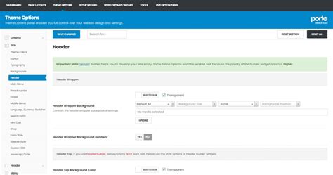 Skin - Porto Documentation Theme Options