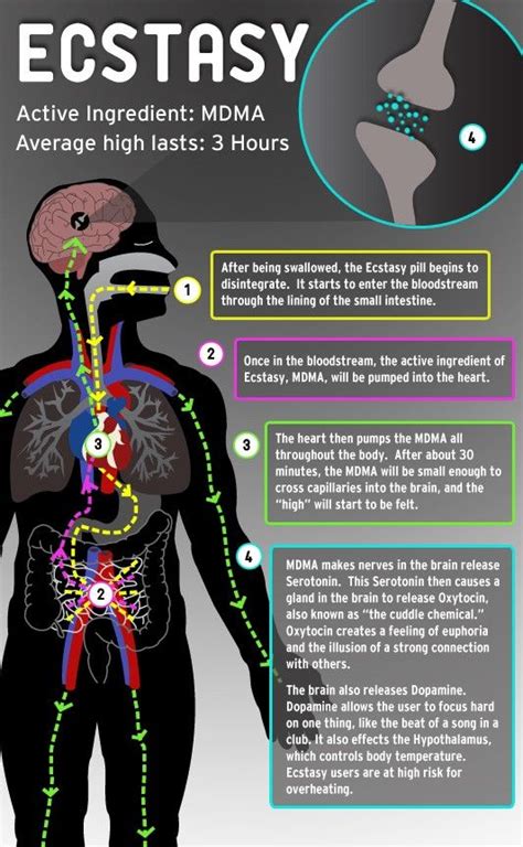 27 best MDMA, Molly, X, Ecstacy images on Pinterest | Drugs, Addiction ...