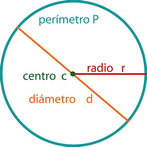 Calcular El Area De Una Circunferencia En Pseint - Printable Online