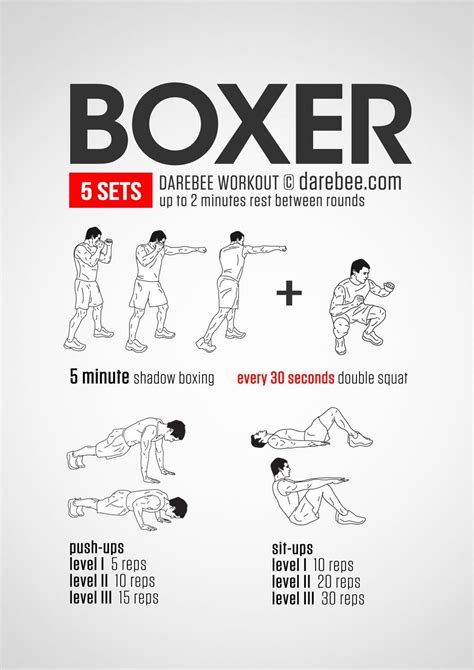 Boxing Workout No Weights | Home boxing workout, Boxer workout, Boxing ...