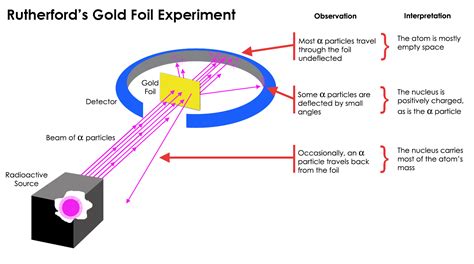 How did Rutherford's gold foil experiment differ from his expectations ...