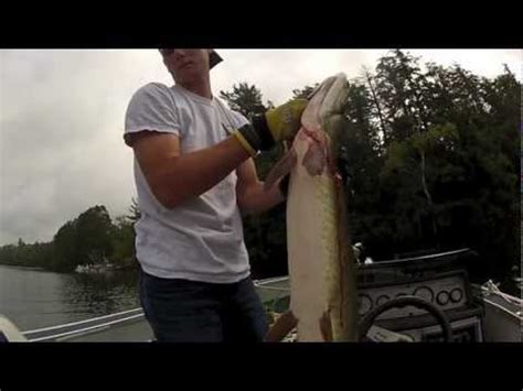 Bass and Muskie fishing on Lake Tomahawk, Wi - YouTube