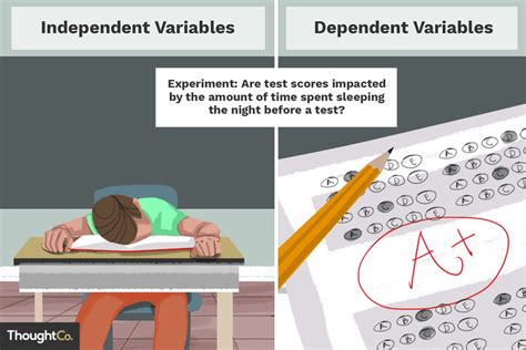 Independent and Dependent Variable Examples