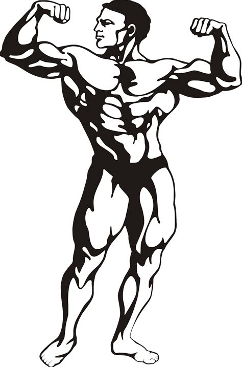 Bodybuilder Muscles Homme - Images vectorielles gratuites sur Pixabay ...