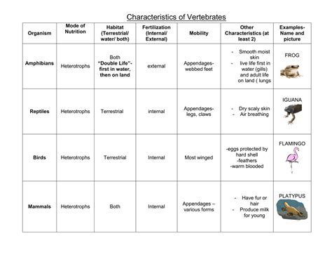 Characteristics of Vertebrates