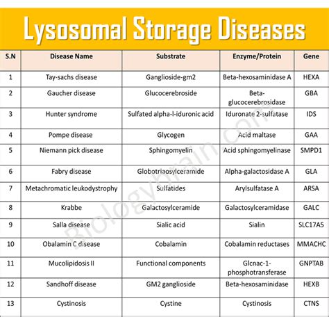 What are lysosomal storage diseases? - Biology Brain