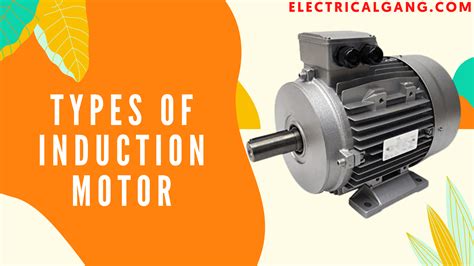 What Is an Induction Motor | Types of Induction Motor