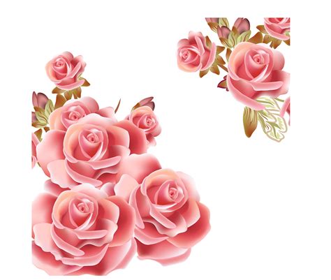 √ Pink Flower Png