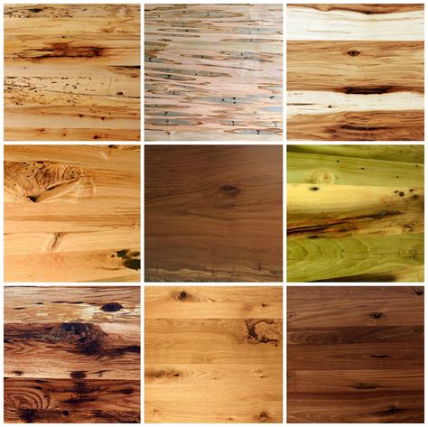 How to Choose the Ideal Wood Species for Your Design Project