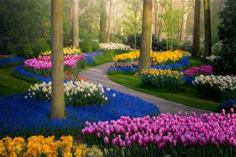 The Most Beautiful Flower Garden in the World, Without People | PetaPixel