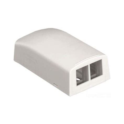 Panduit 2 Port NetKey Surface Mount Box | Networks Cent