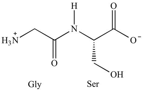 Structure Of Dipeptide