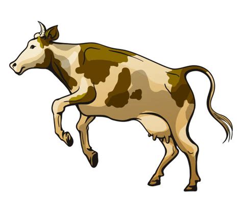 Jumping Cow Illustrations, Royalty-Free Vector Graphics & Clip Art - iStock