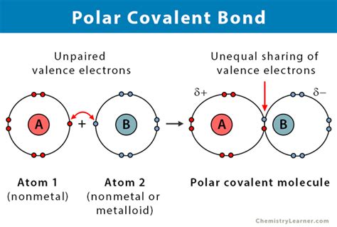 Polar Covalent Bond Lewis Structure