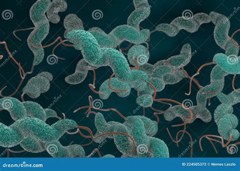 Campylobacter Jejuni Bacteria - Scanning Electron Microscope -closeup ...