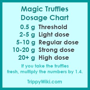 Magic Truffles: Effects, Dosage, How To Take It & More