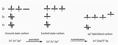 What is an sp2 hybridized carbon atom? + Example