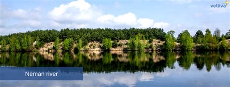 The nature of Belarus: Belarusian lakes, rivers and swamps.