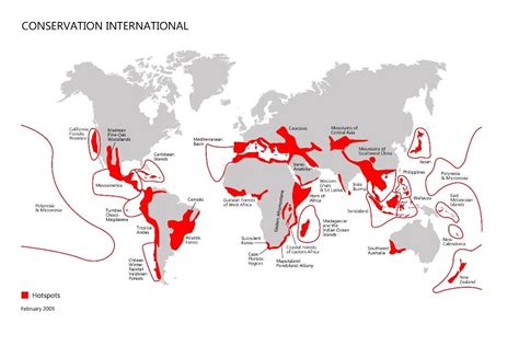 Biodiversity Hotspots | Vulnerability And Conservation Priorities ...