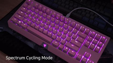 My White Pink Razer BlackWidow Tournament Edition V2 ??? Im, 51% OFF