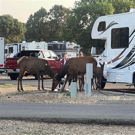 Best rv camping in Grand Canyon National Park | The Dyrt