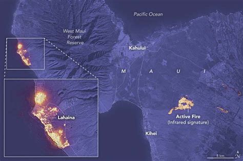 Maui Wildfire Death Toll Climbs as Projected Losses Top $5 Billion ...