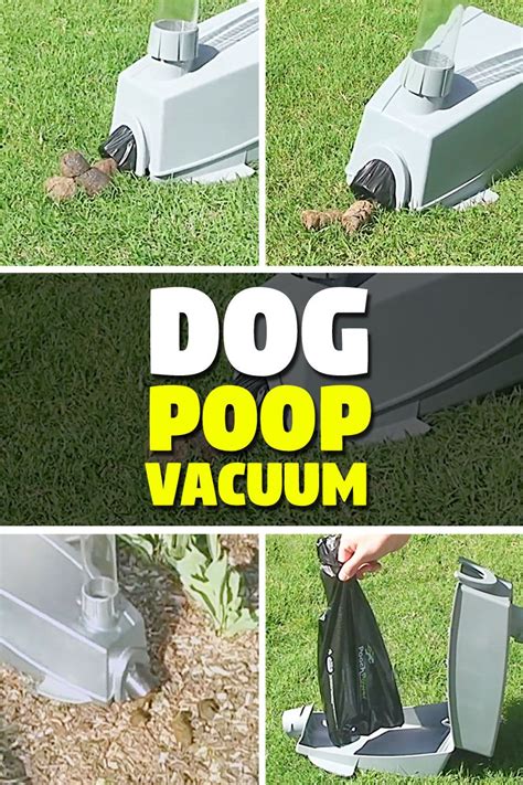 Extreme Dog Poop Vacuum | Cordless Vacuum Pooper Scooper - TheSuperBOO ...