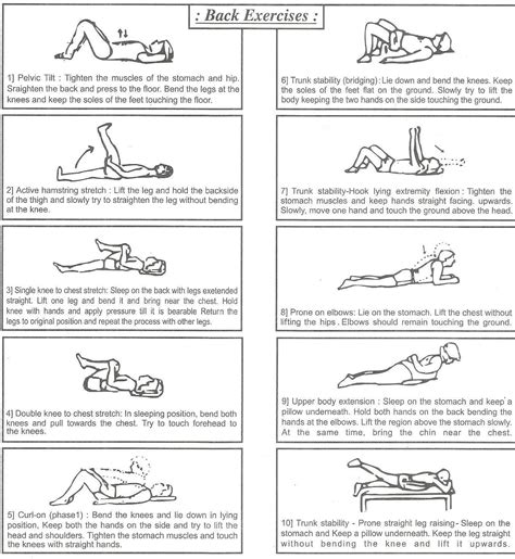 Lumbar Radiculopathy Exercises Handout